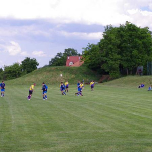 25.6.2011