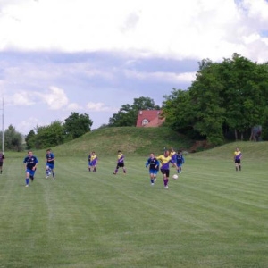 25.6.2011