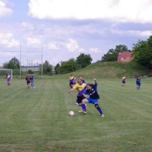 25.6.2011