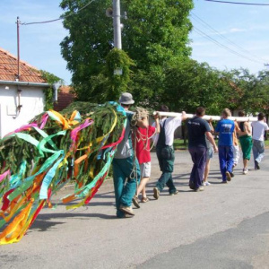 Pátek 17.6.2011