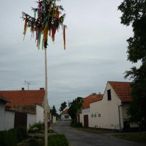 Pátek 17.6.2011