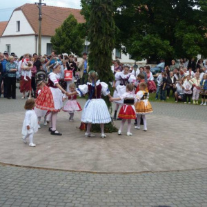 19.6.2011