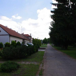 Kousky 25.6.2011