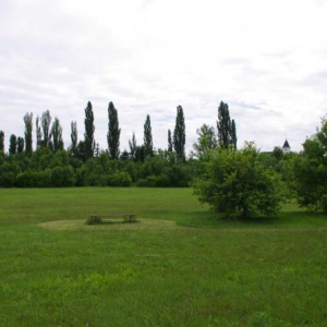 Biocentrum za hřištěm 26.6.2011