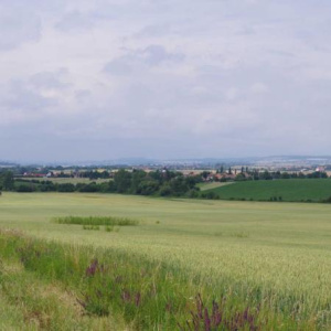 Pohled od Nesvačilky 26.6.2011