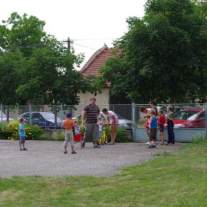 29.6.2011