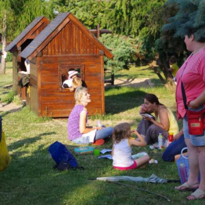 29.6.2011