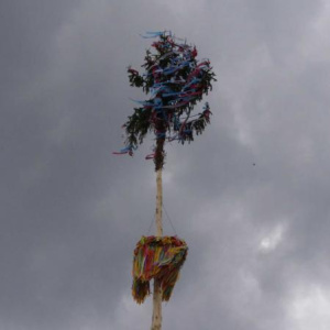 22.7.2011
