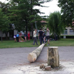 22.7.2011