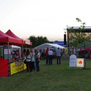 Open Sun Fest 2011