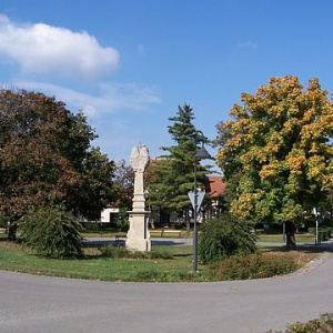 Náves