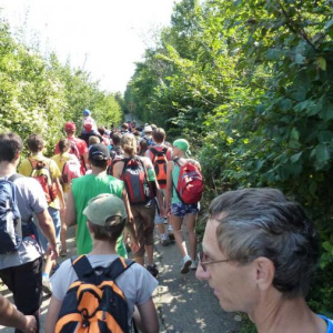27.8.2011 Cesta lesem