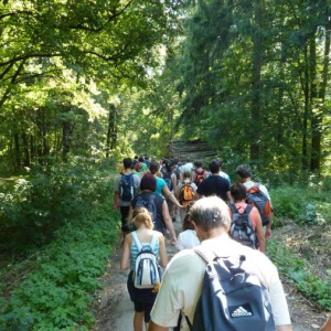 27.8.2011 Cesta lesem