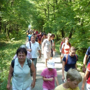 27.8.2011 Cesta lesem