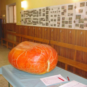 2.10.2011 61,4kg dyně v sokolovně