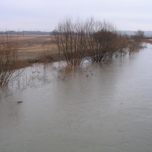 Rozvodněná Cezava 29.3.2006