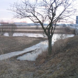 Rozvodněná Cezava 30.3.2006