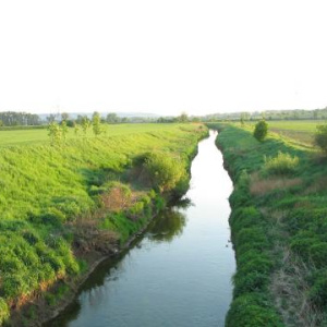 Cezava po proudu 11.5.2003