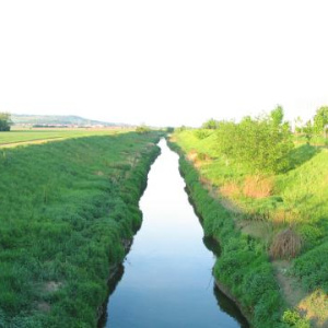 Cezava proti proudu 11.5.2003