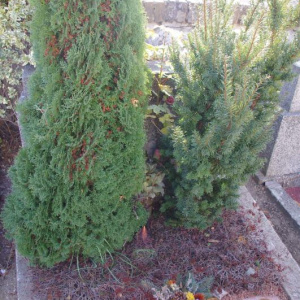 Hrob 124 12.11.2011