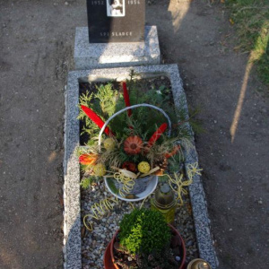 Hrob 111 12.11.2011