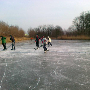 5.2.2012