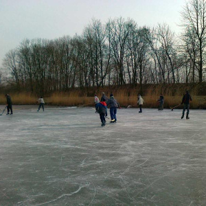 5.2.2012