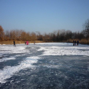 12.2.2012