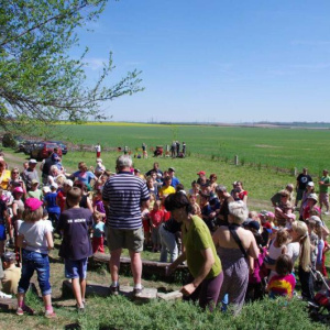 28.4.2012