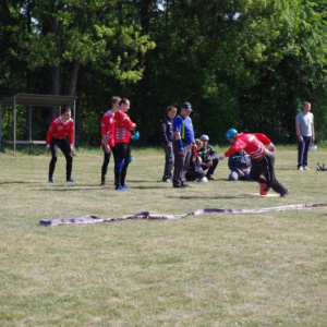 19.5.2012
