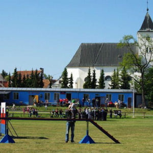 19.5.2012