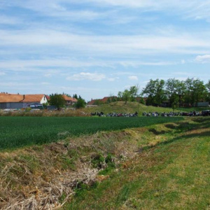 26.5.2012