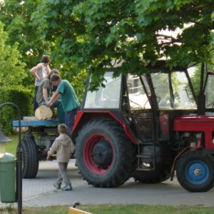 Hody 2008 - Stárci dovezli máju