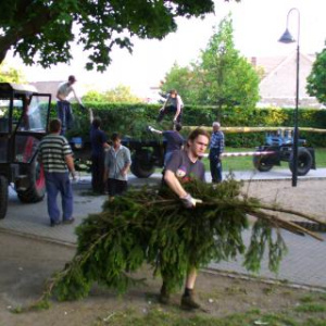 Hody 2008 - Stárci dovezli máju