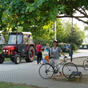 Hody 2008 - Stárci dovezli máju