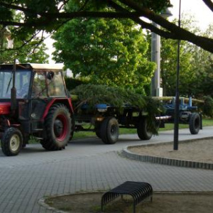 Hody 2008 - Stárci dovezli máju