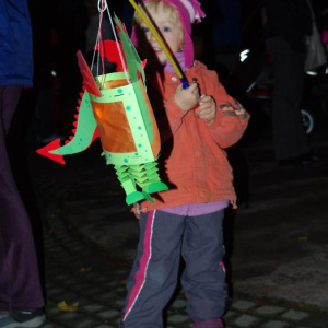 5.11.2012 Malý dráček