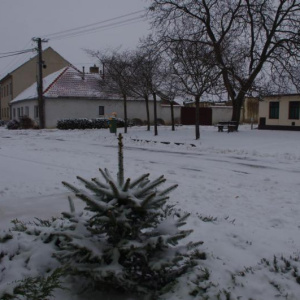 Park na Zahradech 23.12.2012