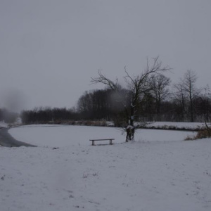 Rybník 23.12.2012