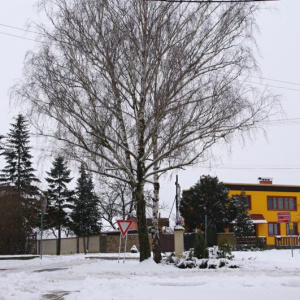 U sokolovny 14.2.2013