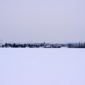 Pohled od východu 14.2.2013