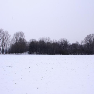 Písky 15.2.2013