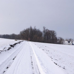 Flonky 16.2.2013