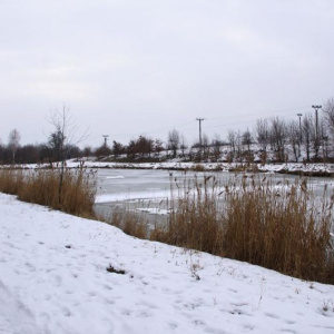 Rybník 16.2.2013