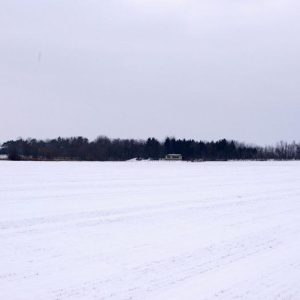 Starý les 16.2.2013