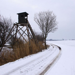 Hranečnický potok 16.2.2013
