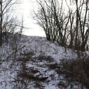 Flonky - první kopec 16.2.2013