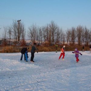 26.1.2013