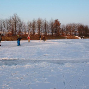 26.1.2013