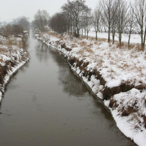 15.2.2013 Cezava
